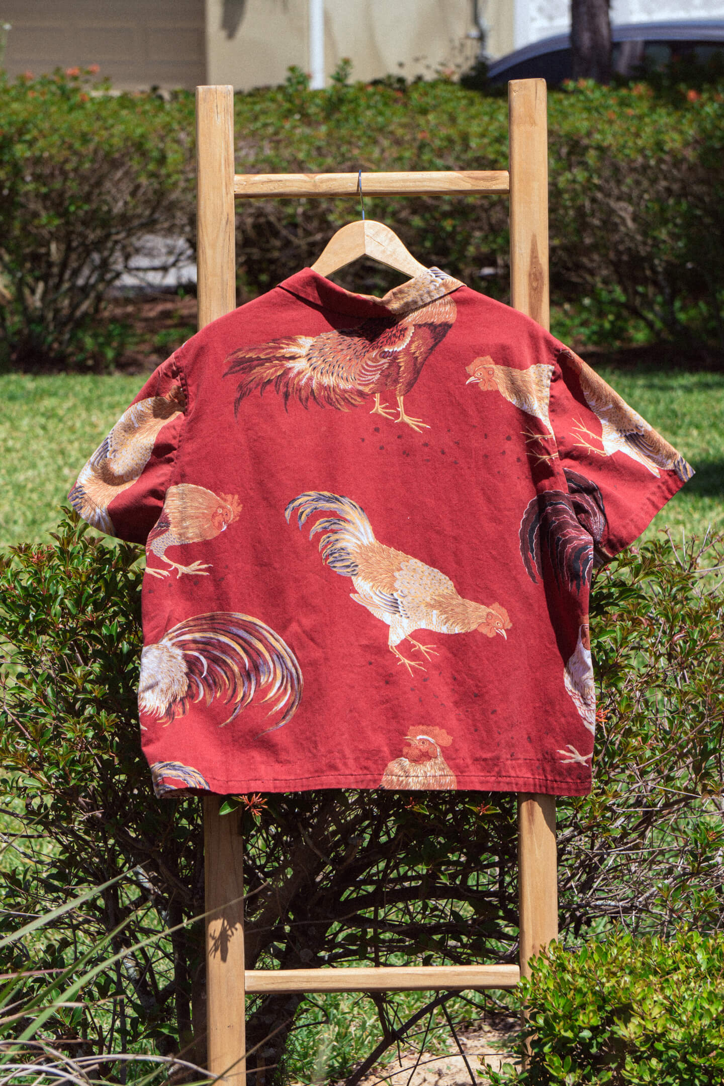 El Gallo (Medium)