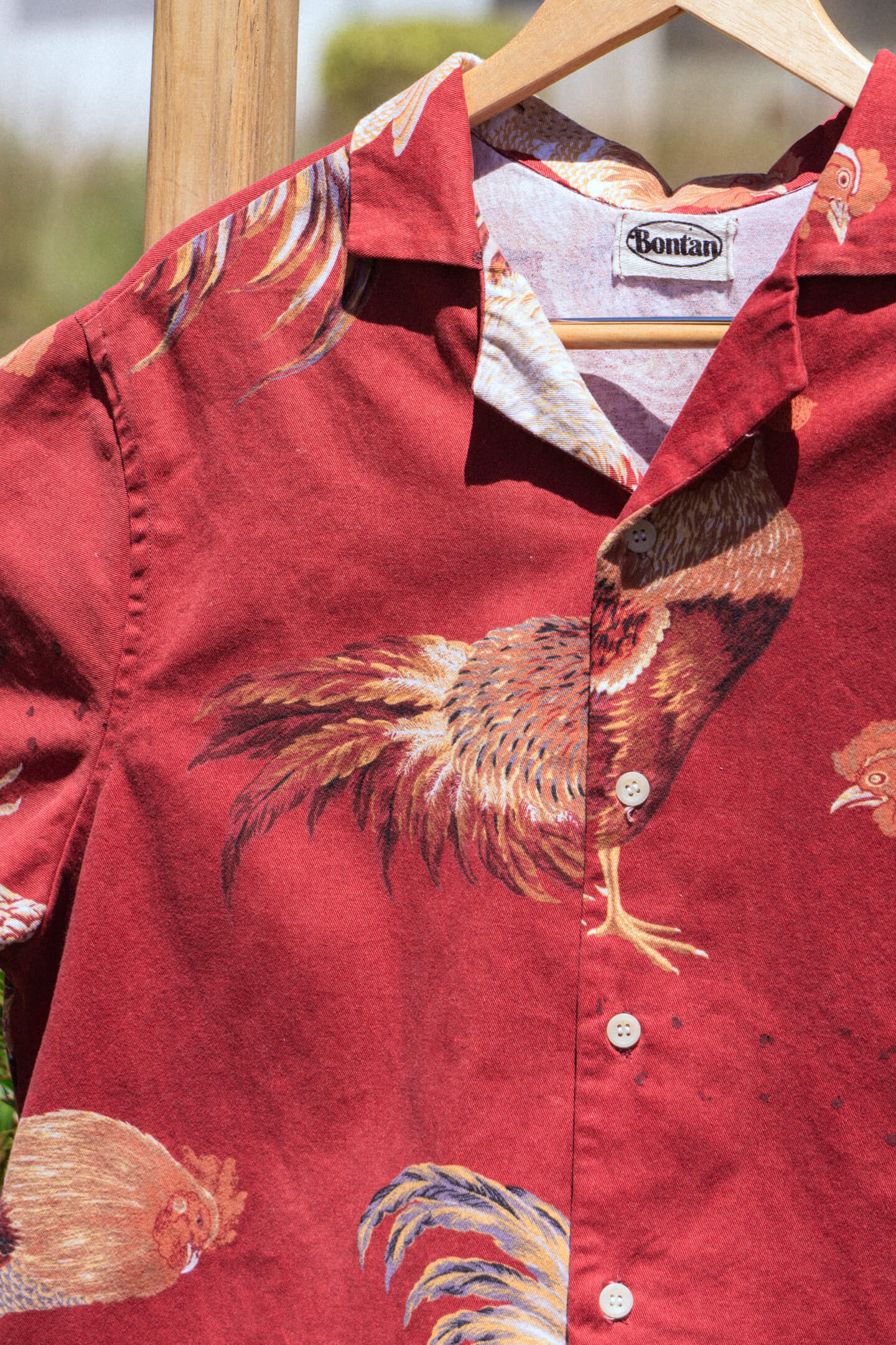 El Gallo (Medium)